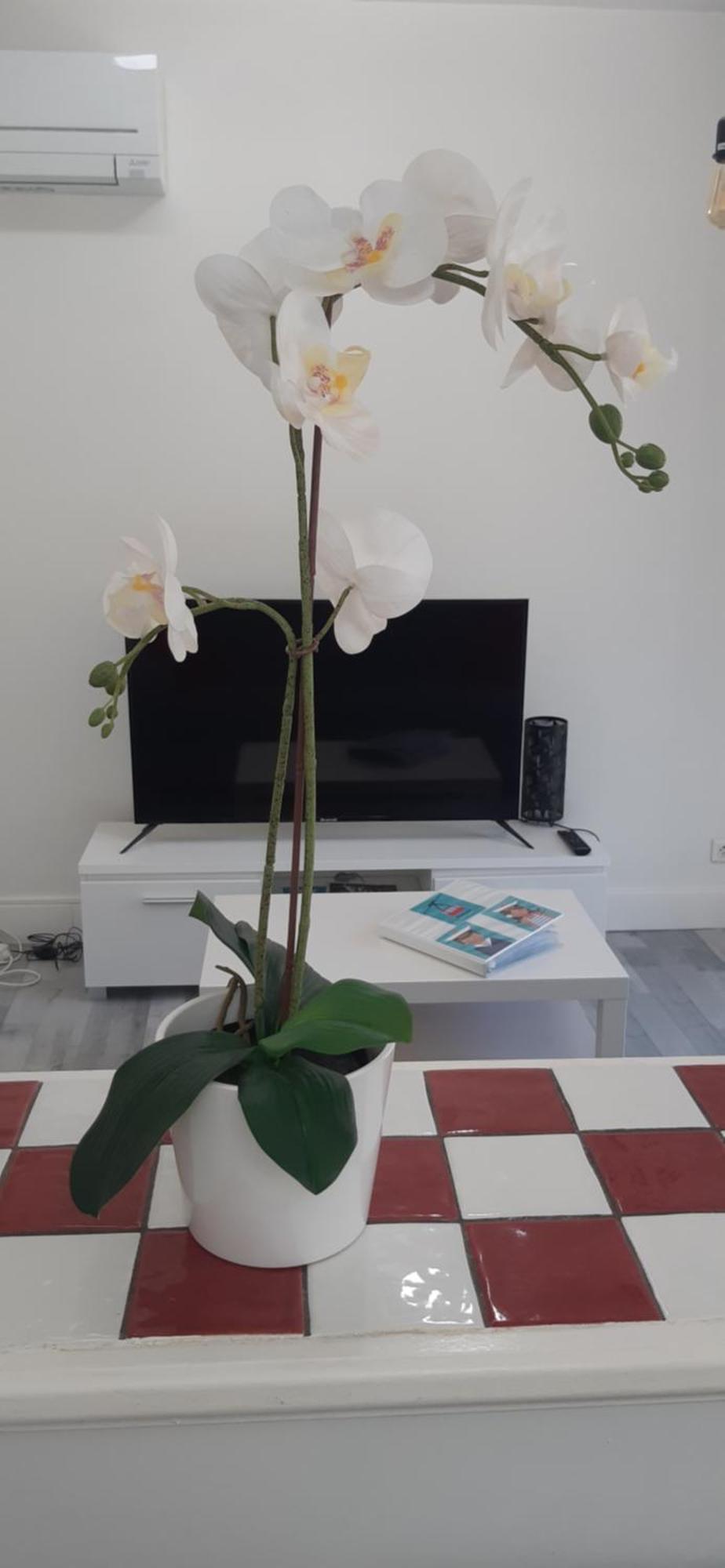 Logement Le Serein Toulon Exterior photo